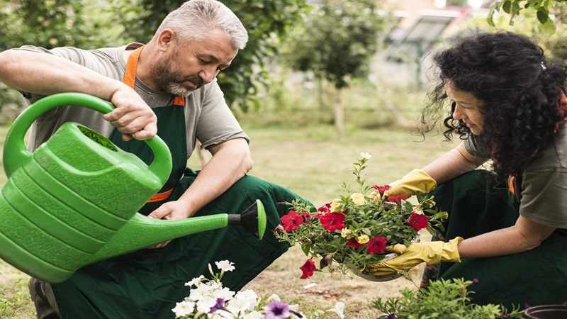 decadgarden yard tips by decoratoradvice