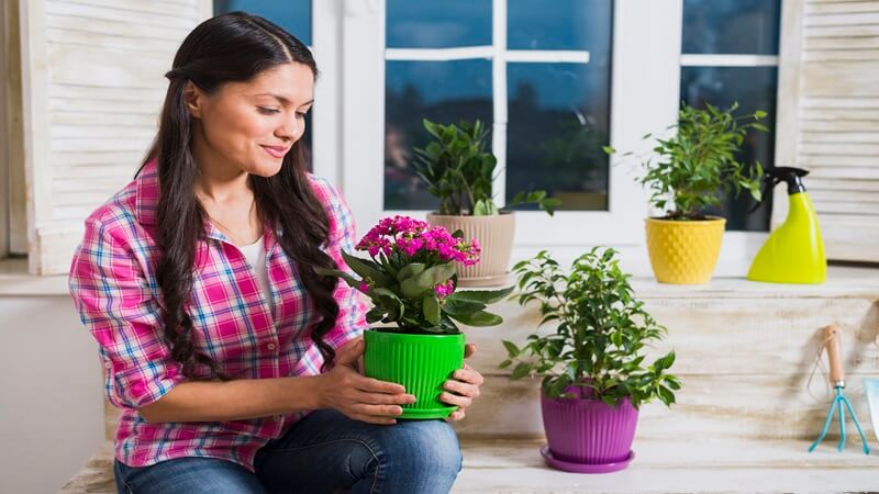 decoradhouse garden tips by decoratoradvice