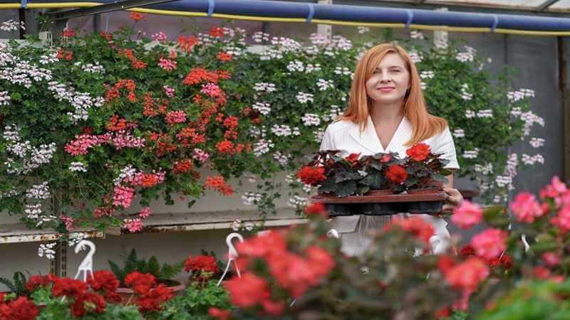 Terrace Decoration Decadgarden From Decoratoradvice