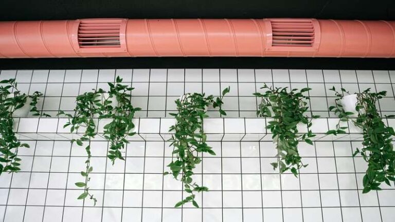 Simple Ways to Improve Your Home’s Air Quality This Season