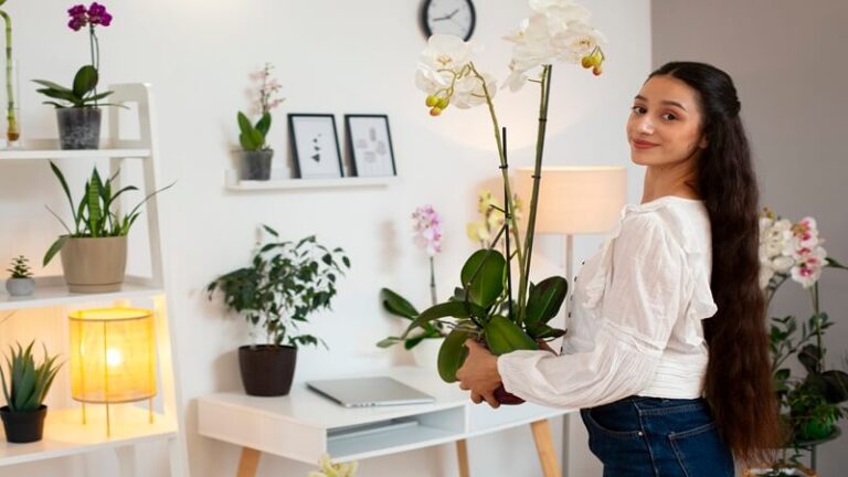 Decoration Tips Decoradyard