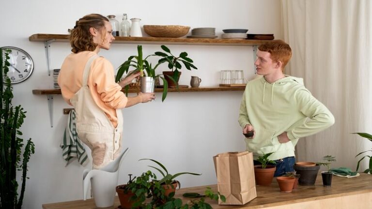 decoradhouse upgrade tips by decoratoradvice